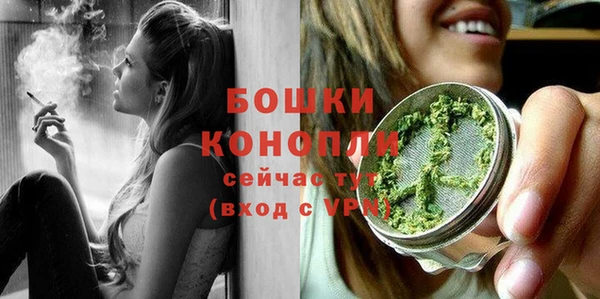гидропоника Богданович