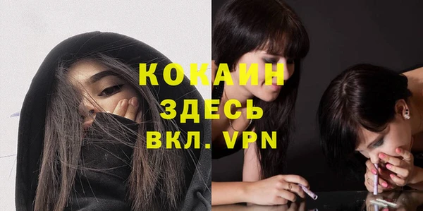 apvp Богородицк