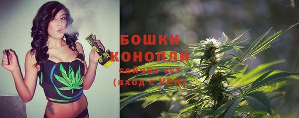 гидропоника Богданович