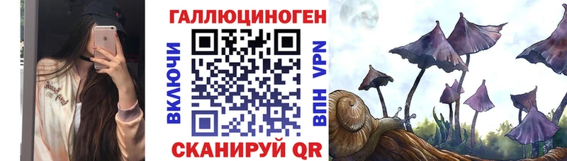 кракен ТОР  что такое наркотик  Октябрьский  Псилоцибиновые грибы Psilocybine cubensis 
